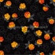 Digital jersey Cloudberry